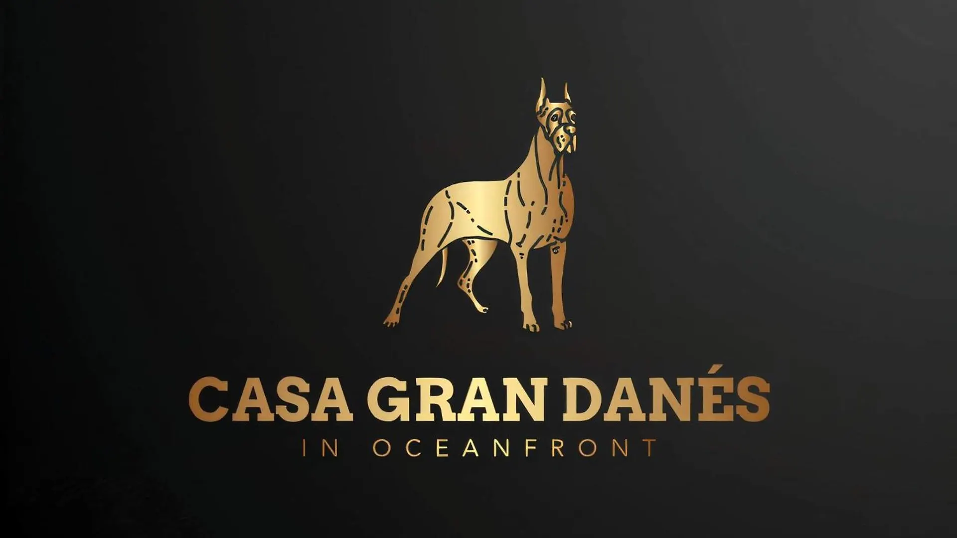 Casa Gran Danes Apartment Santa Cruz de Tenerife